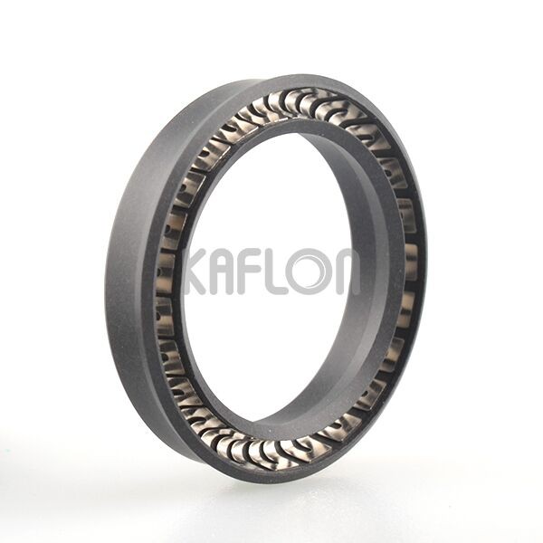 Spring Energized Seal